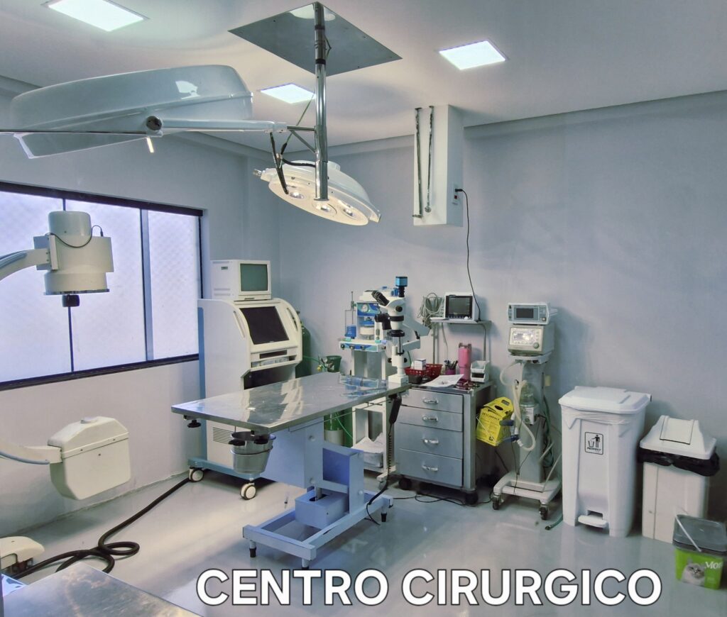 Internação