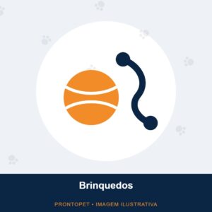 Imagem ilustrativa da categoria Brinquedos (não é a foto do produto)