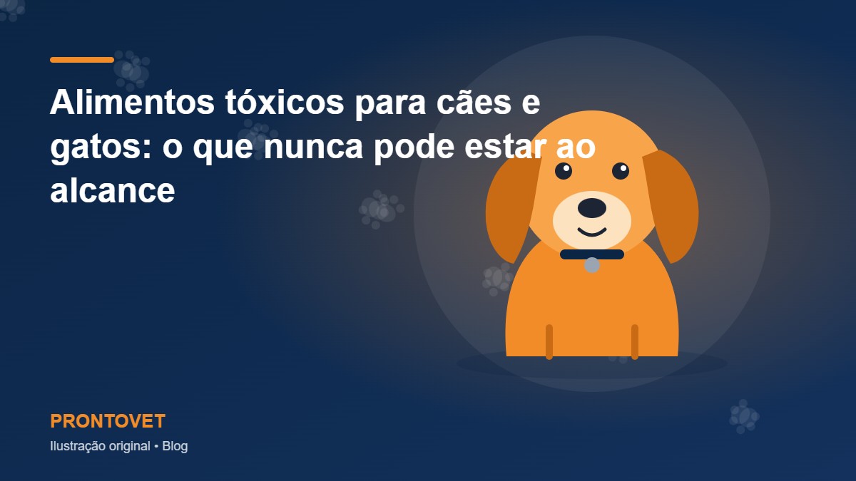 Alimentos tóxicos para cães e gatos: o que nunca pode estar ao alcance