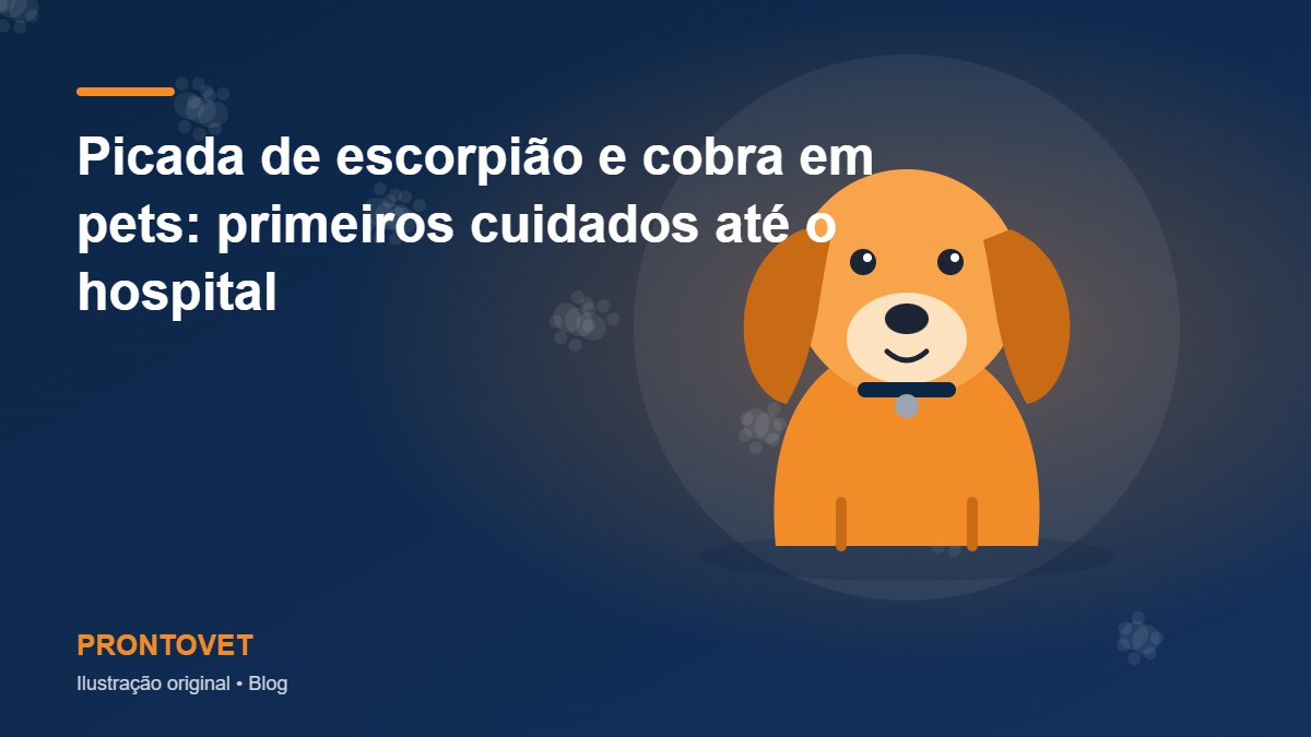 Picada de escorpião e cobra em pets: primeiros cuidados até o hospital