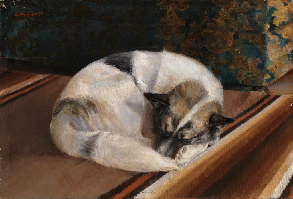 Imagem ilustrativa do artigo: Cães sentem estresse pós-traumático depois de maus-tratos ou abandono?