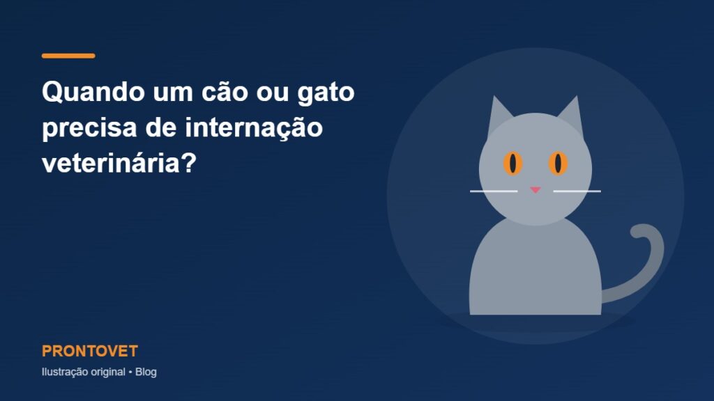 Ilustração original com gato estilizado e o título do artigo: Quando um cão ou gato precisa de internação veterinária?