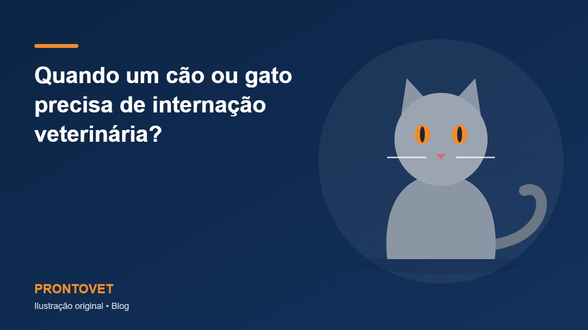Quando um cão ou gato precisa de internação veterinária?